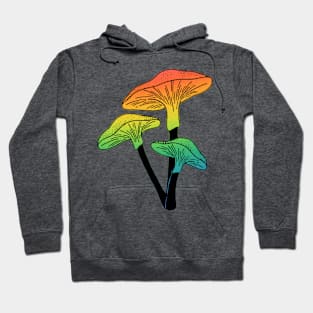 Rainbow Mushrooms Hoodie